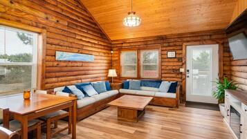 TV, fireplace, video games, books