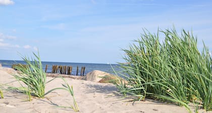 Surf Shack 2 - Room close to the sea, shared bathroom, WLAN, shared garden