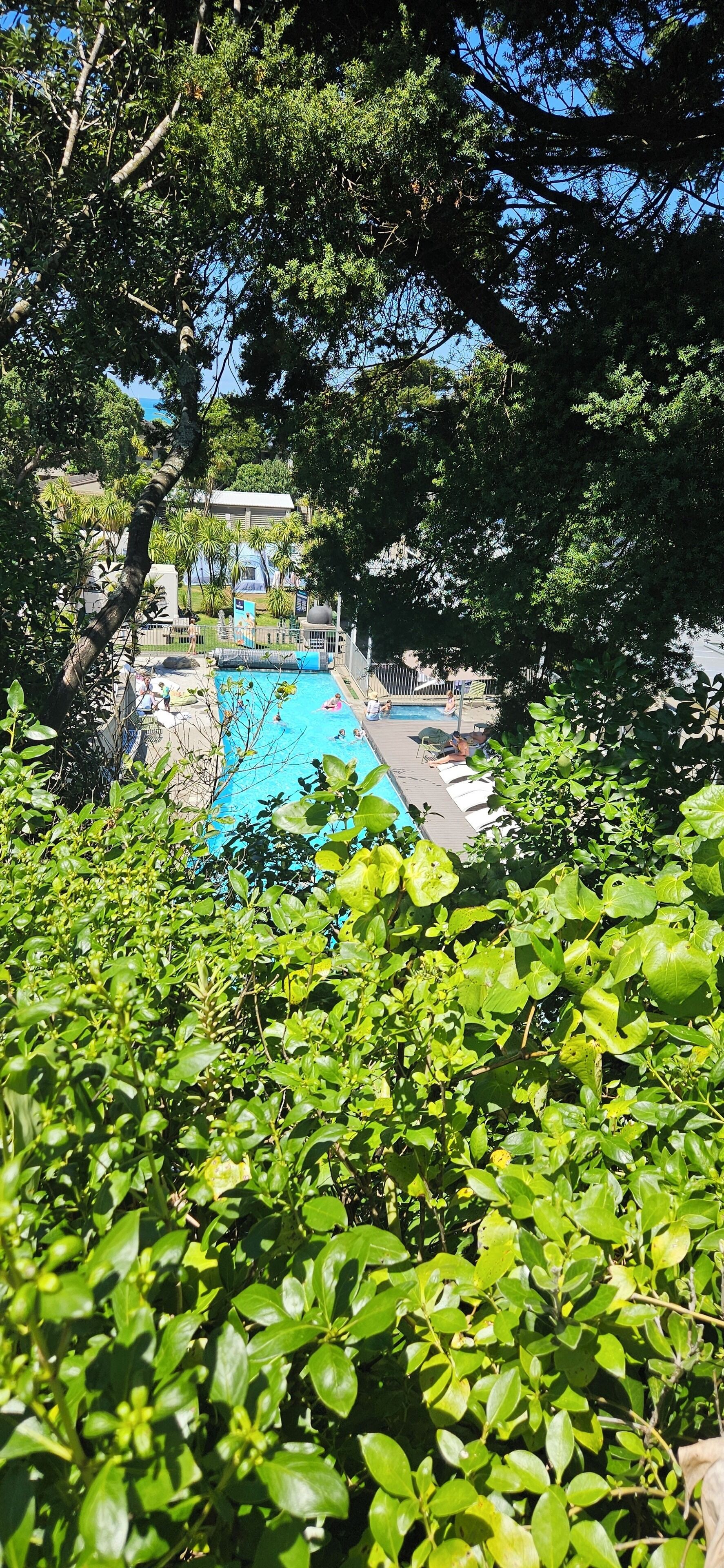 室外游泳池，恒温泳池