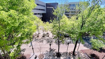 Terrain de l’hébergement