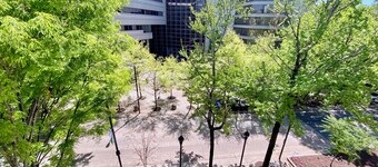 Downtown Condo w/ Balcony & Amazing view overlooking Main Street