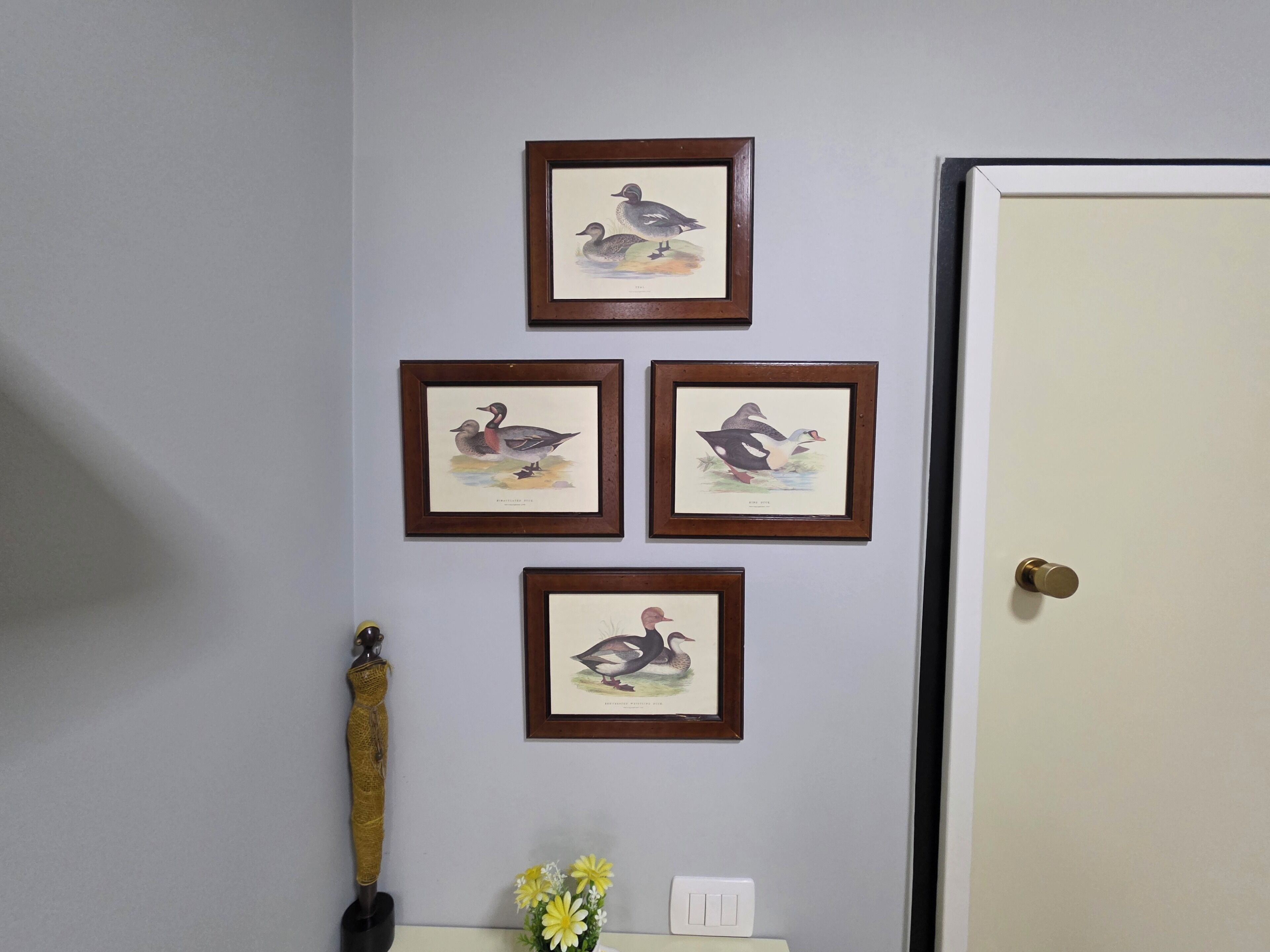 Eine Wand mit vier gerahmten Vogelbildern und einer Tür.