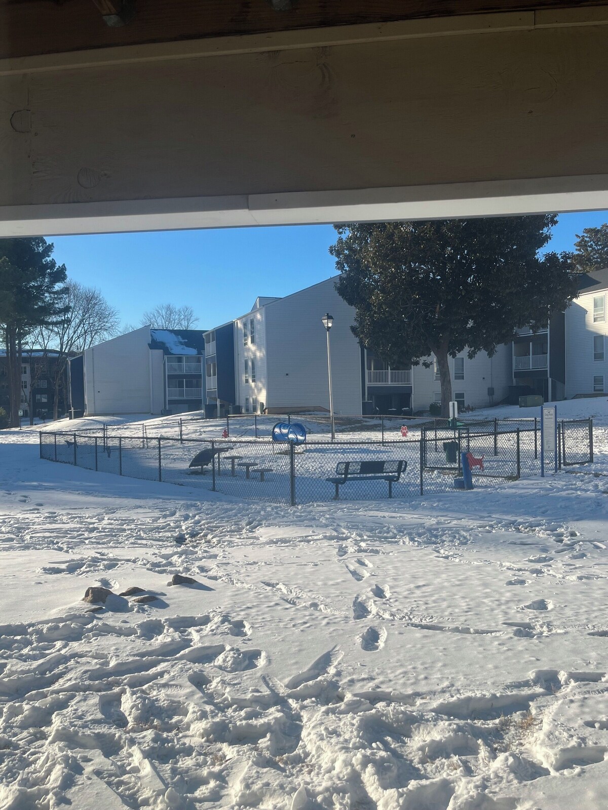 Imagem do perfil do anfitrião