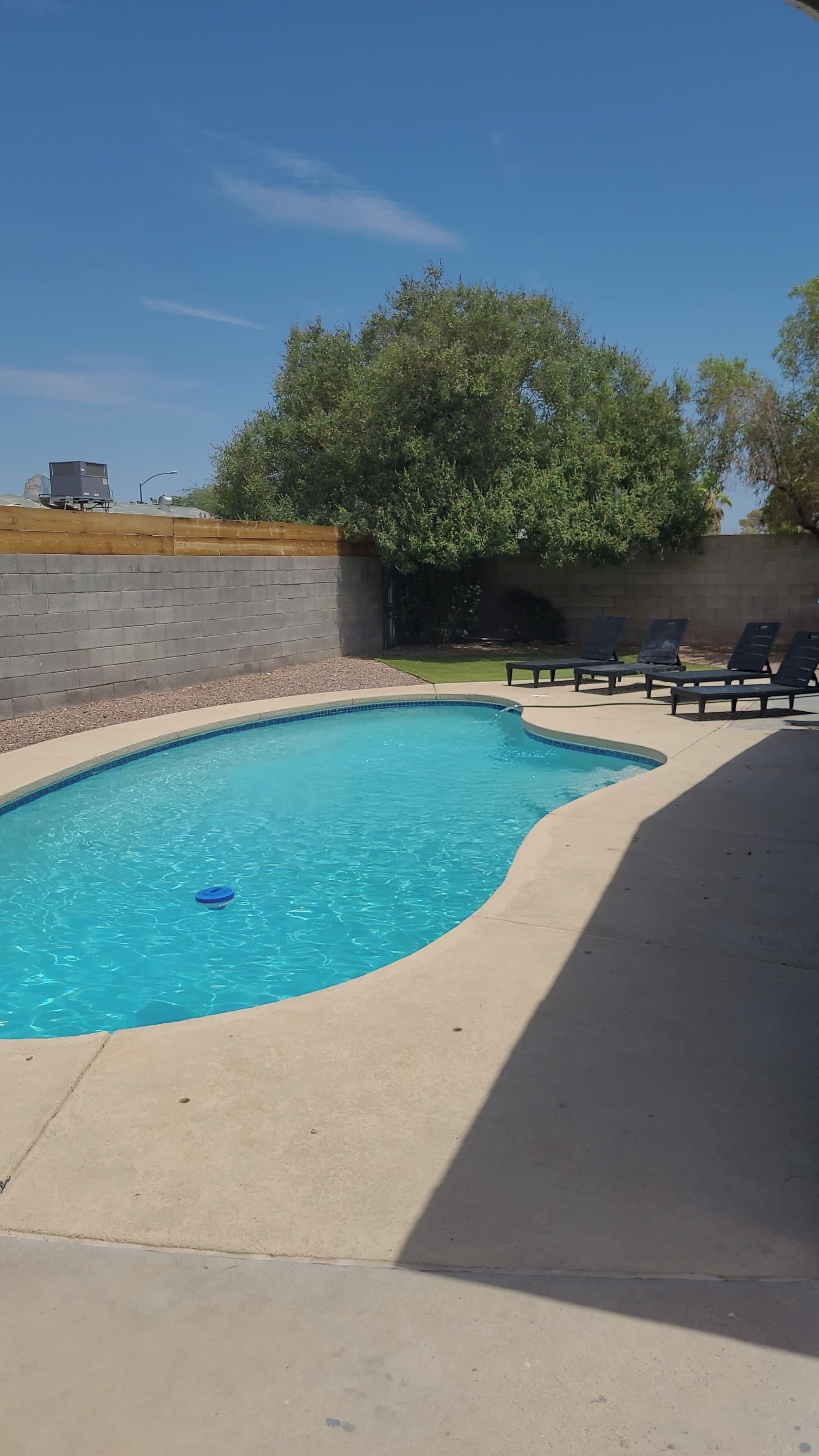 Une piscine à bordures courbes, entourée d’une terrasse en béton.