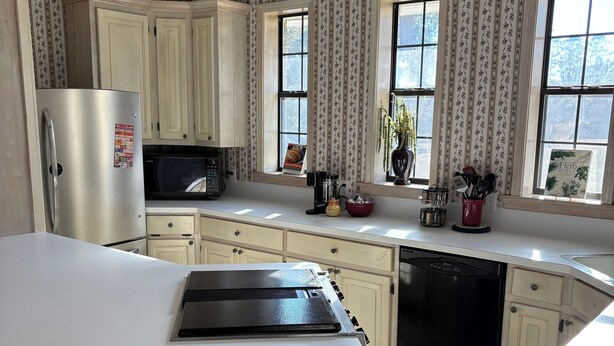Una cocina con armarios de madera, un refrigerador de acero inoxidable, un microondas y un lavavajillas. Hay ventanas con cortinas y una planta en el alféizar.