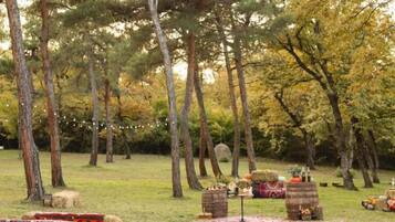 An outdoor setting with trees, hay bales, and rustic furniture.