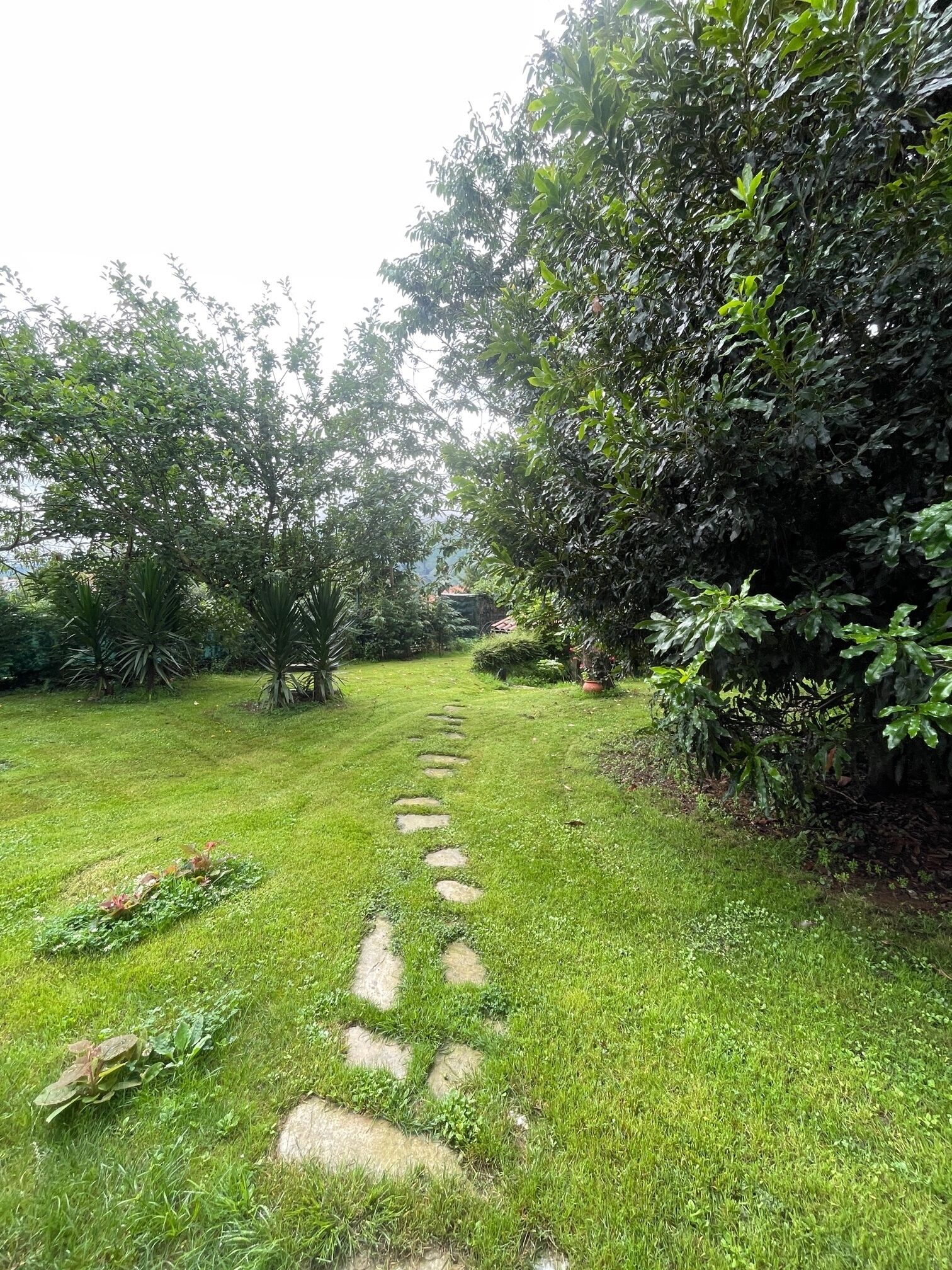 Terrain de l’hébergement 