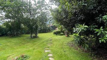 Terrain de l’hébergement