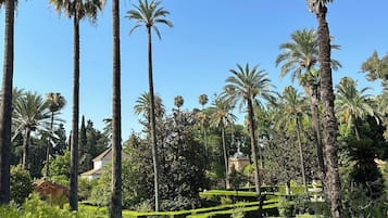 Jardines del alojamiento
