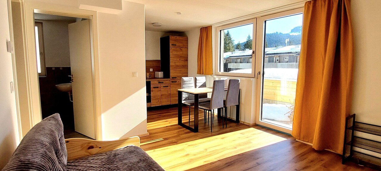 Alpenrose Vacation Apartment - Balderschwang