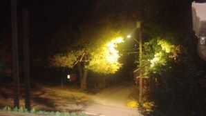 Vista nocturna de una calle con farol y árboles.
