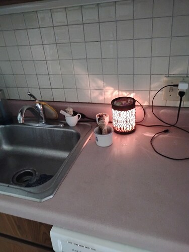 Cozy 1-bedroom bed & breakfast in peaceful Kalamazoo with AC