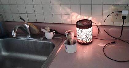 Cozy 1-bedroom bed & breakfast in peaceful Kalamazoo with AC