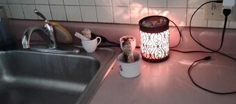 Cozy 1-bedroom bed & breakfast in peaceful Kalamazoo with AC