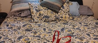 Cozy 1-bedroom bed & breakfast in peaceful Kalamazoo with AC