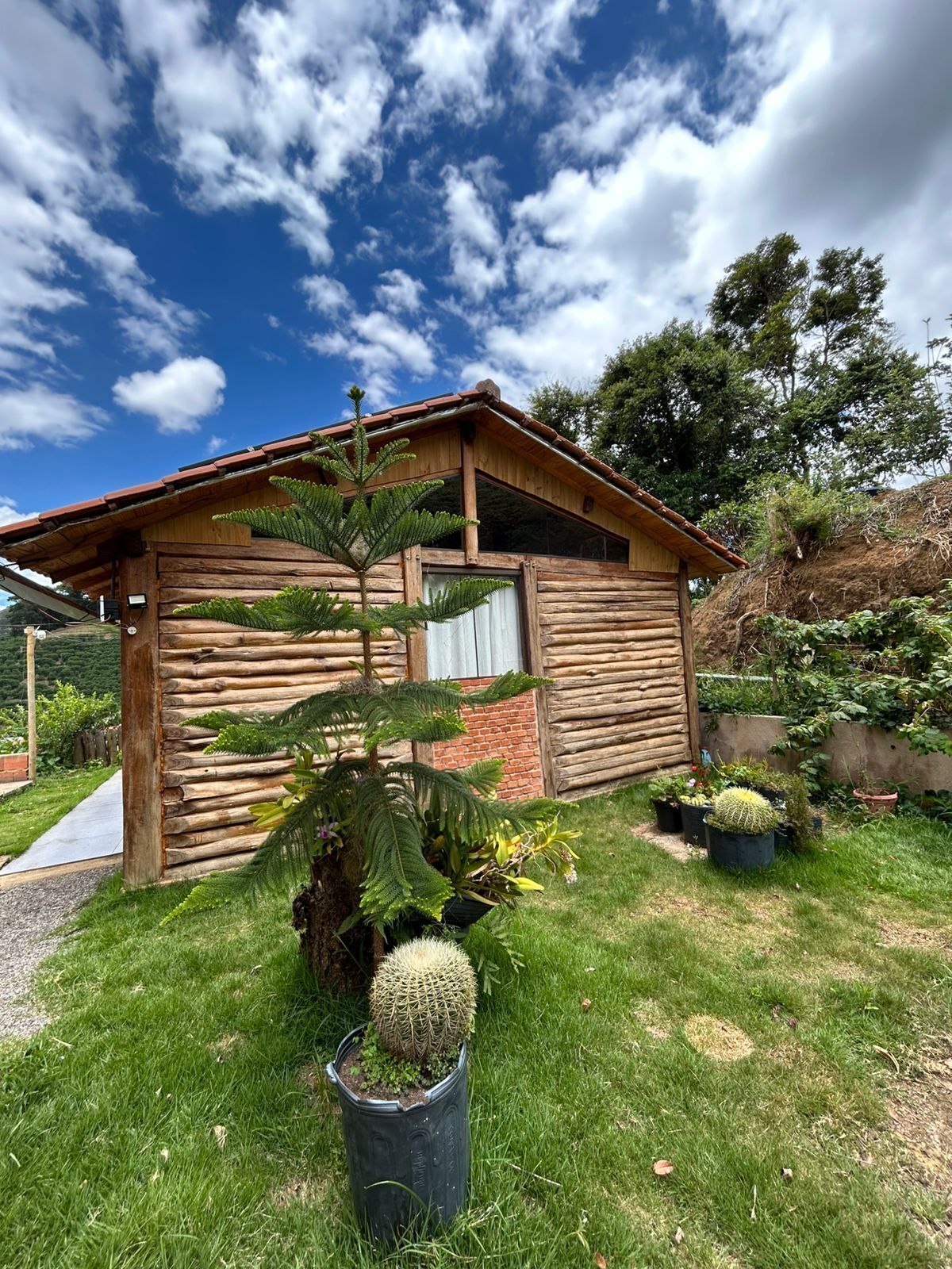 Área da propriedade