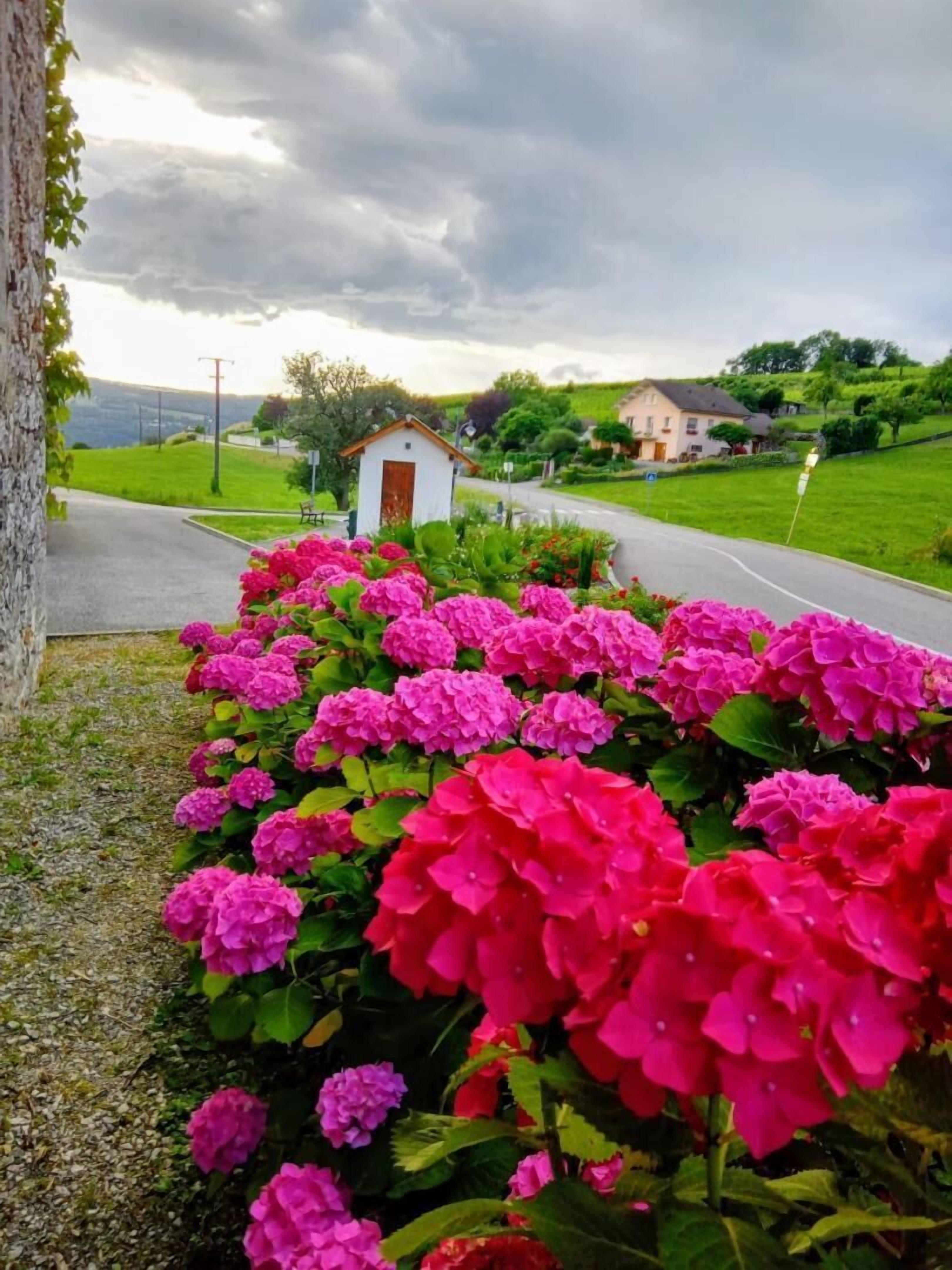 Àrea exterior de l'allotjament