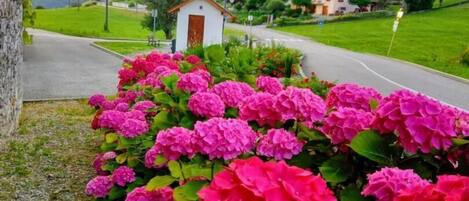 Àrea exterior de l'allotjament