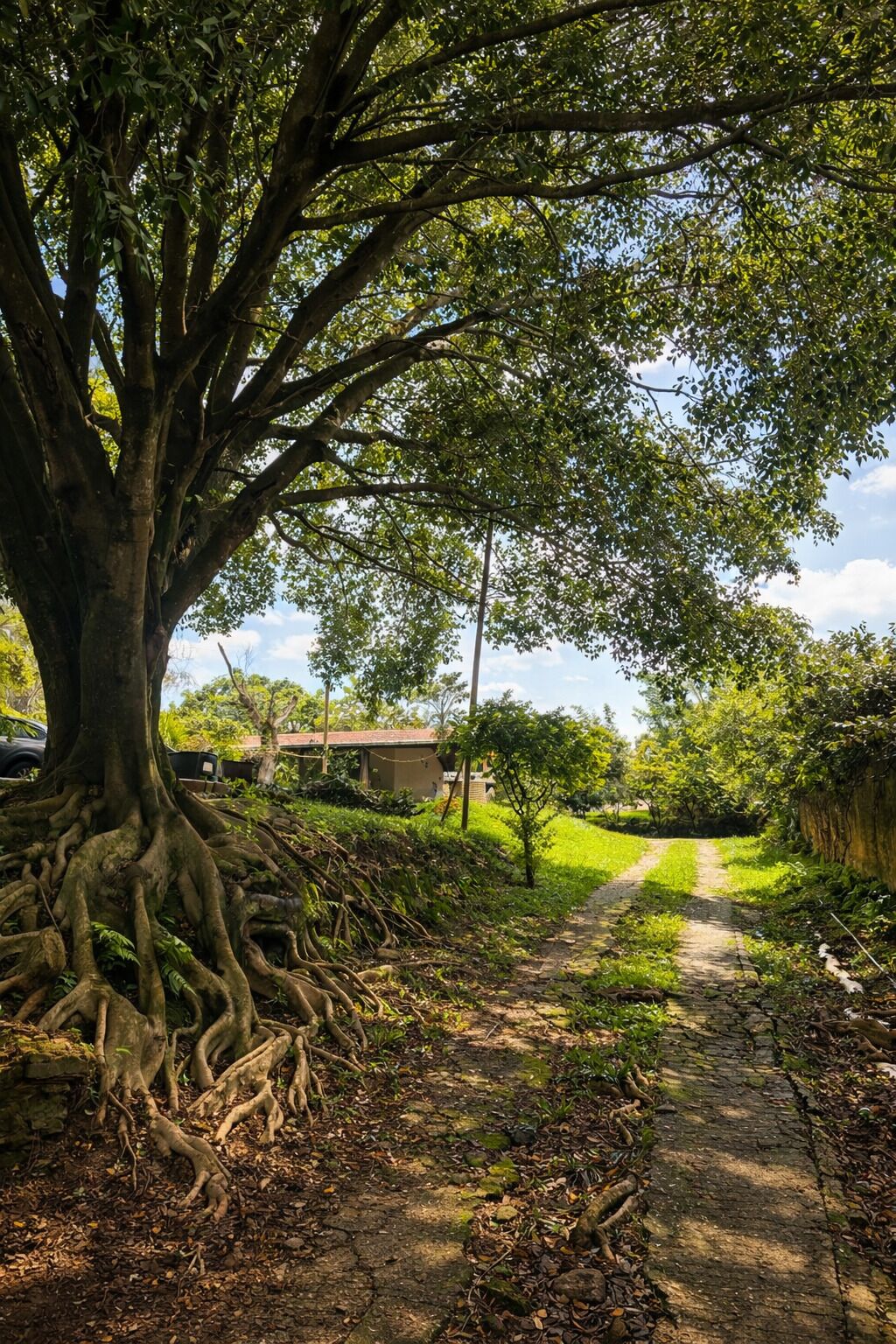 Terrein van de accommodatie