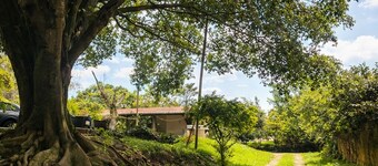 Leisure area with swimming pool, barbecue and fully equipped gourmet space.