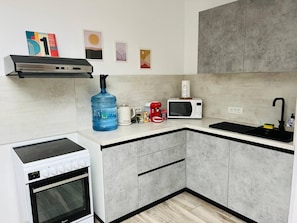 Private kitchen - Spacious 3BR Apt • 110sqm • Carol Park • Balcony (București)