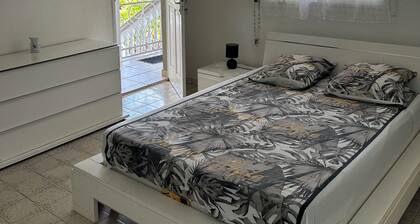 Air-conditioned villa with large garden and terrace 2 min from Caravelle beach