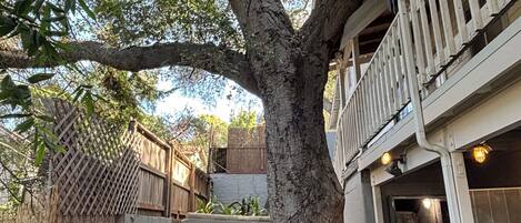 Terrain de lâhĂ©bergement