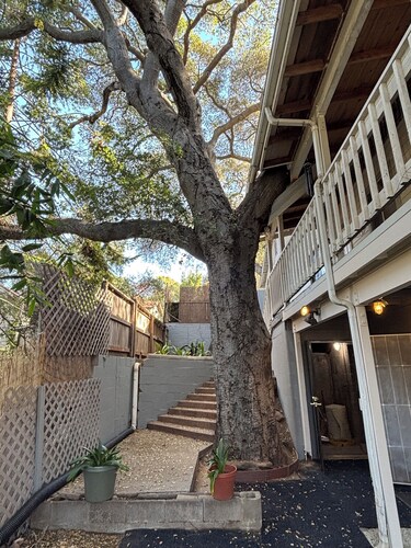 Terrific bicycle vacation house
in pleasant Oak View neighborhood adjacent Ojai.