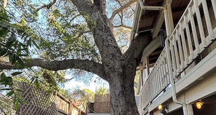 Terrific bicycle vacation house
in pleasant Oak View neighborhood adjacent Ojai.