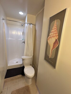 Regadera, secadora de cabello, toallas, jabón 