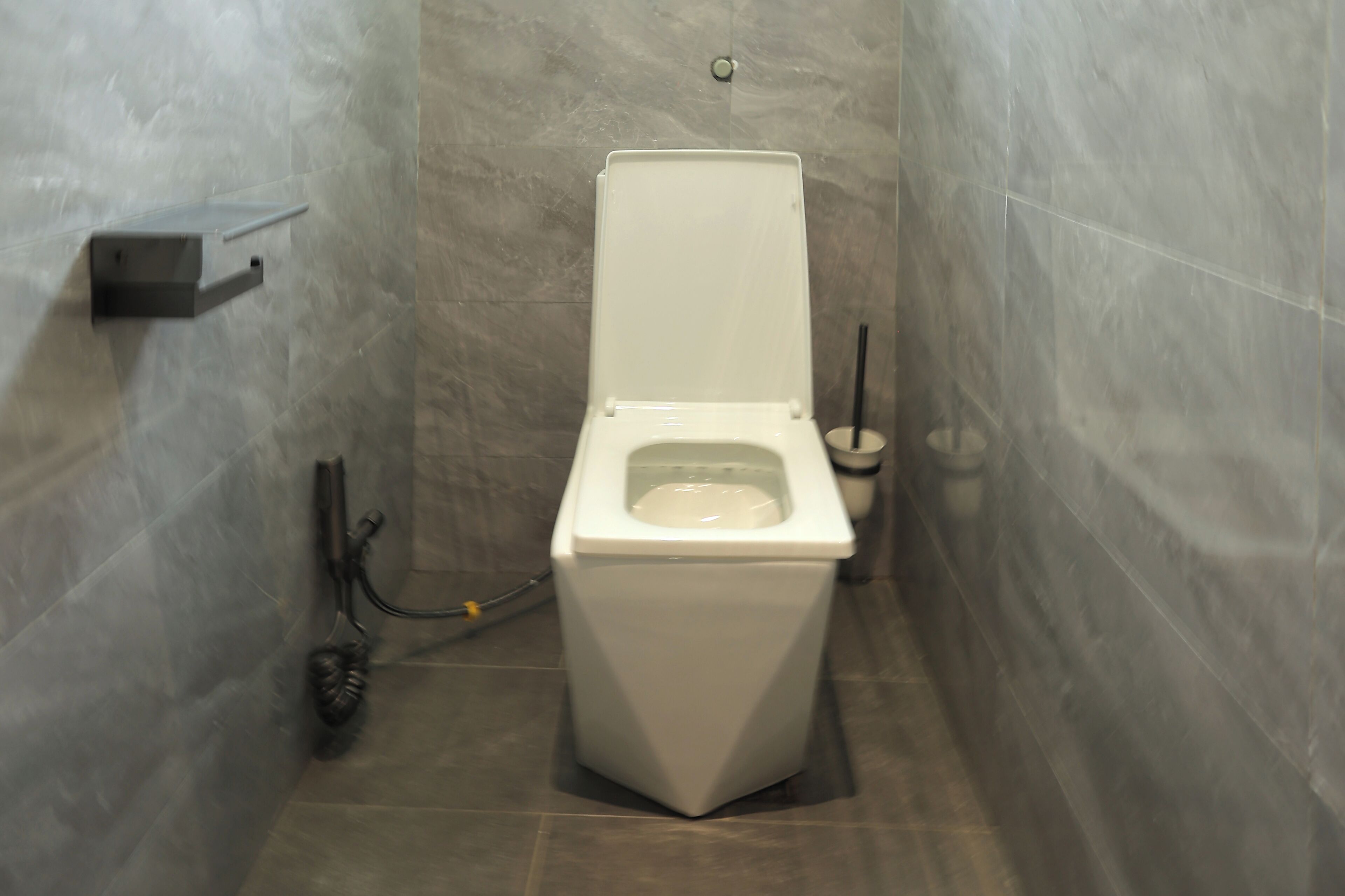 Et lille badeværelse med toilet, væghængt håndvask og brusehoved.