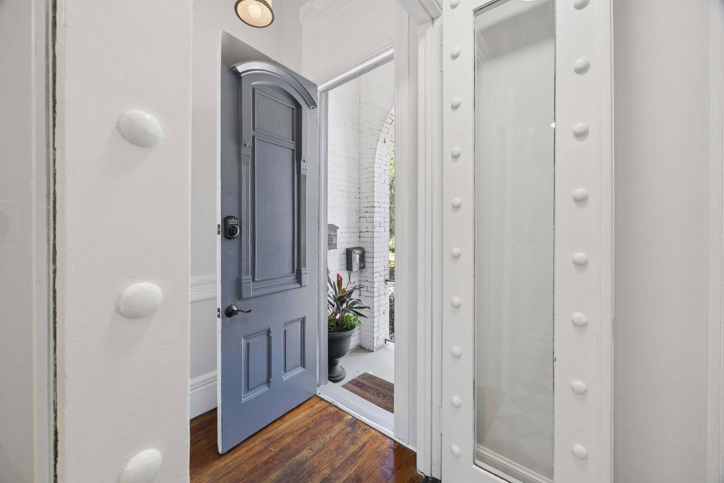 A hallway with a grey door, a white door with decorative studs, and a potted plant outside.