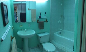 Hair dryer, towels - Quiet, Charming studio apartment on a private street next to conservation land (Honolulu)