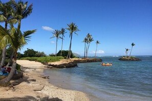 A beach with palm trees, a sandy shore, and calm water. - Quiet, Charming studio apartment on a private street next to conservation land (Honolulu)
