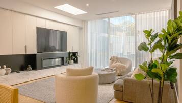 Smart TV, fireplace, books