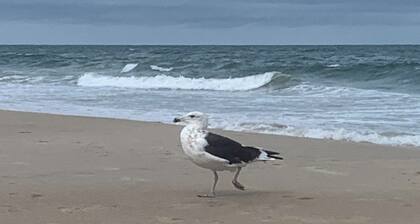 Studio apartment for a couple in Praia de Leste, close to the beach and the road to Ilha do Mel.