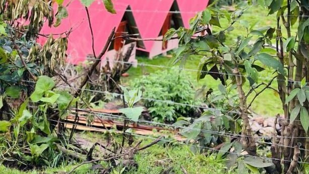 A rural setting with a house featuring a red roof, surrounded by lush greenery and hills in the background. - Salakantay glamp (Santa Teresa)