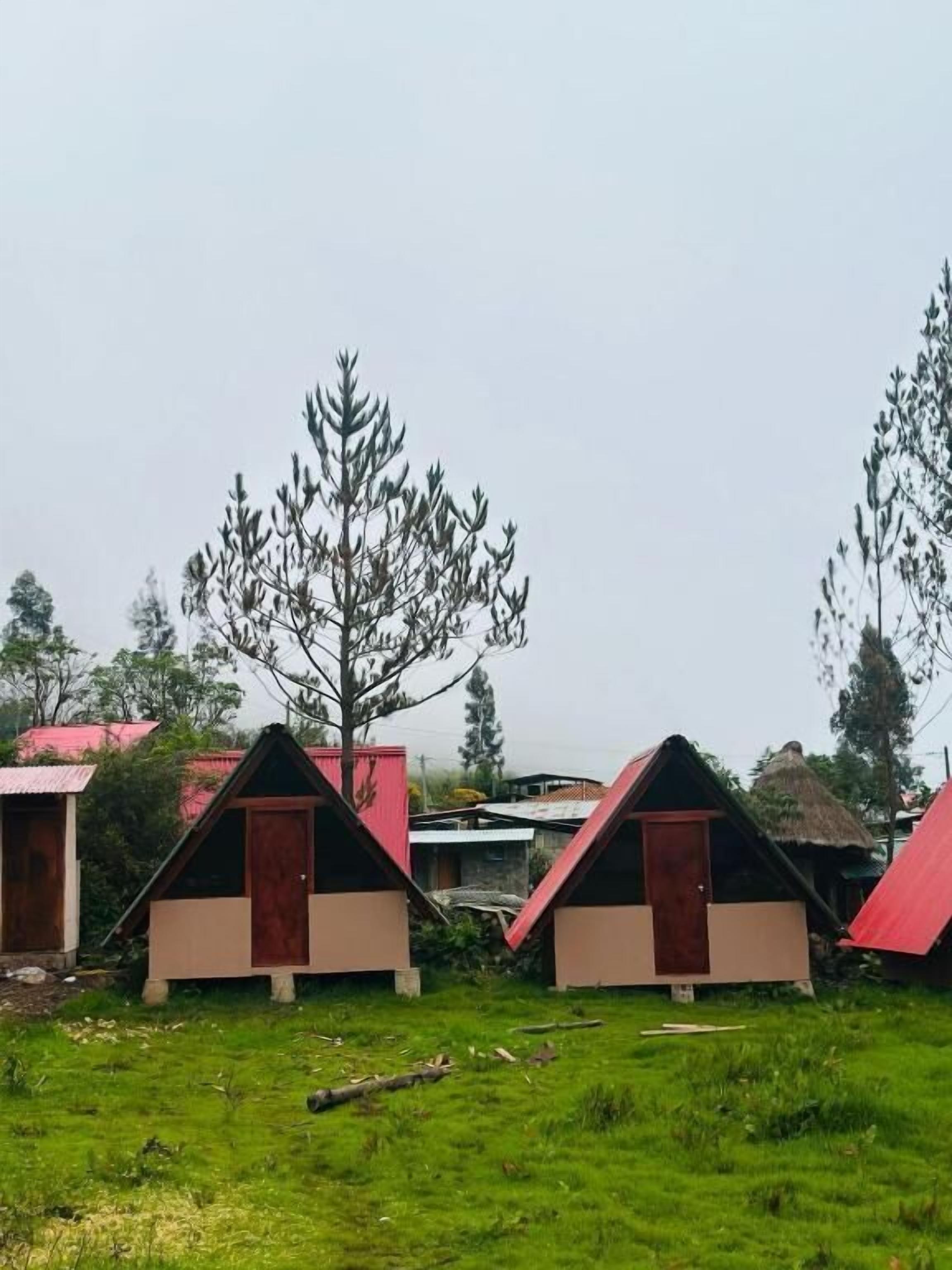 Tomannsrom – classic, terrasse, bakgårdsutsikt | Eksteriør