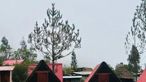 A row of simple, single-story cabins with red roofs and beige walls, set in a grassy area with trees in the background. - Salakantay glamp (Santa Teresa)