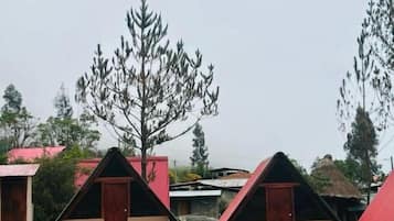 Tomannsrom – classic, terrasse, bakgårdsutsikt | Eksteriør