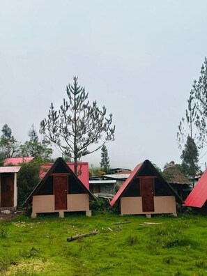 클래식 트윈룸, 파티오, 마당 전망 | 외관