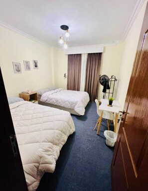 3 bedrooms, Internet - Zalonda old (Cairo Governorate)