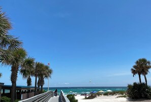 Ein Strand mit Palmen, einer Promenade und Sonnenschirmen.