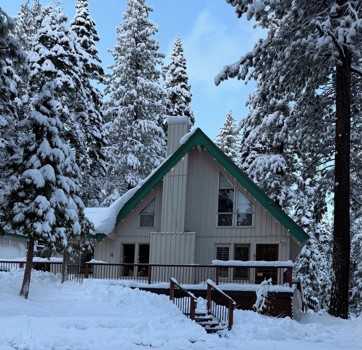 Image de profil de l’hôte