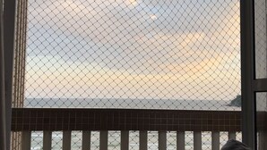 A room with a view of the ocean through a mesh window, a dark-colored sofa, and a railing.