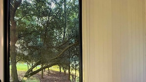 A room with a bed, a window with a view of trees and a grassy area. - Under the Velvet Sky by Tiny Away (Dagun)