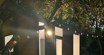 Under the Velvet Sky by Tiny Away