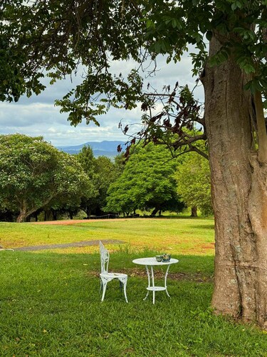 Under the Velvet Sky by Tiny Away