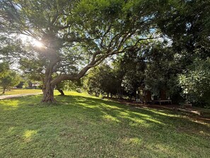 Property grounds - Under the Velvet Sky by Tiny Away (Dagun)