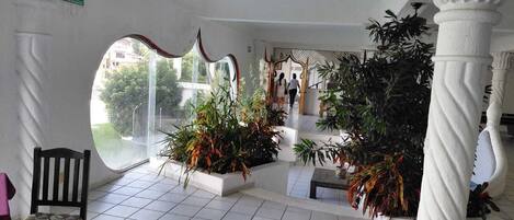 Una habitación amplia con un ventanal grande, una silla de madera y varias plantas en macetas.